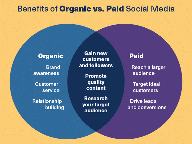 Paid-vs-organic-Instagram-marketing3-e1644830579208 StoryblokMigration  
